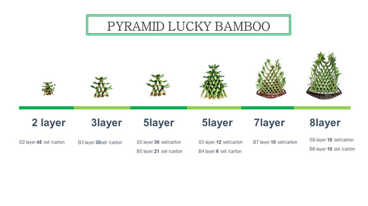 pymaid heppinn bambus
