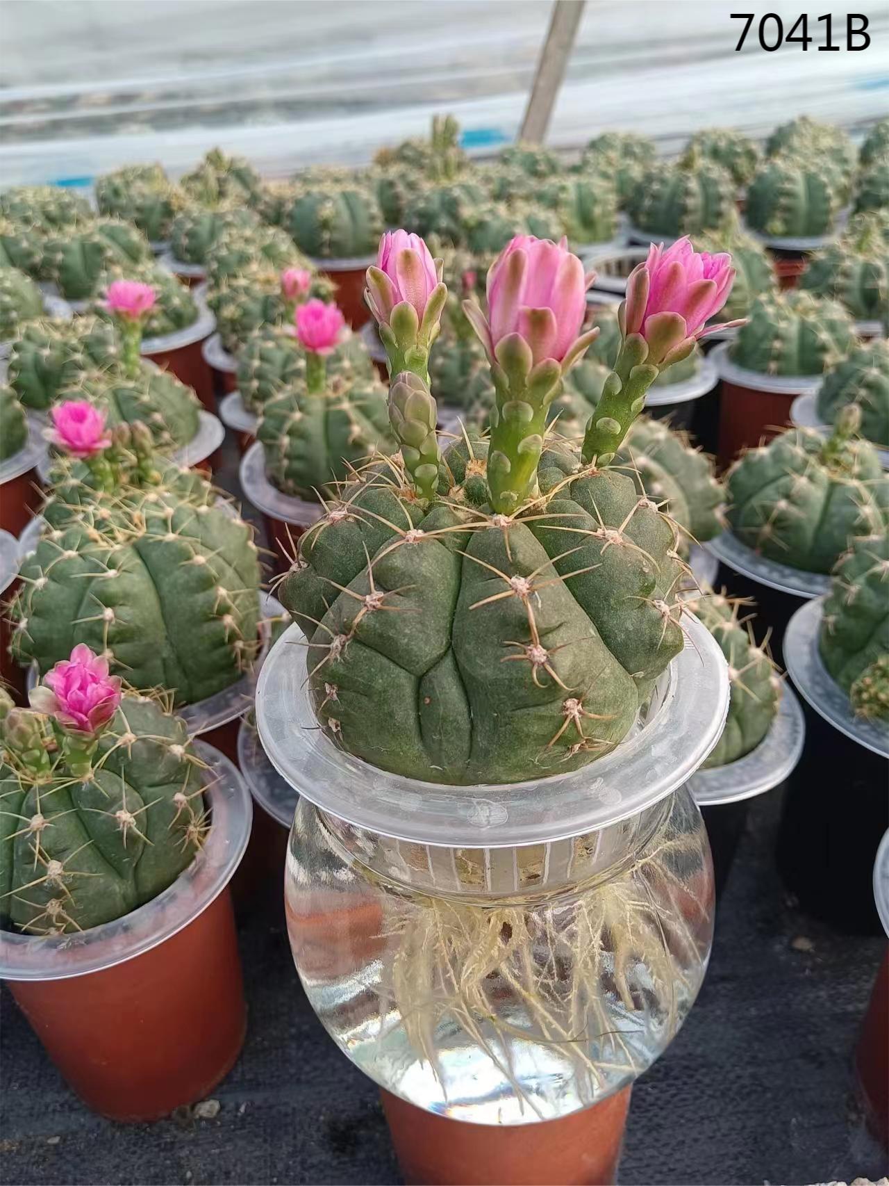 China Rubber Stereoscopic Pink Purple Pencil Bag with Butterfly Pendant  Manufacture and Factory | Beifa-Group, image size:1280x1706