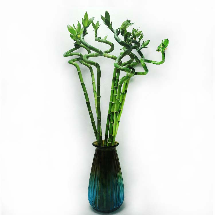 Эротикалық секс: сүйіктіңізді үйіңізге шақырыңыз