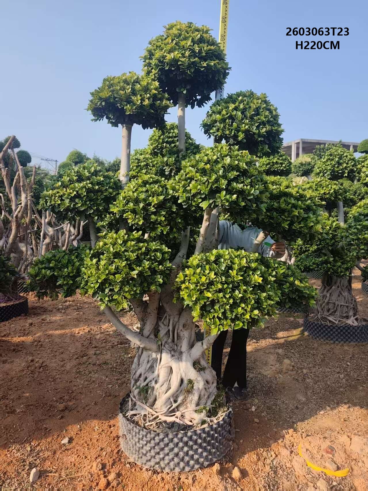 微信图片_20260326155059_227_38