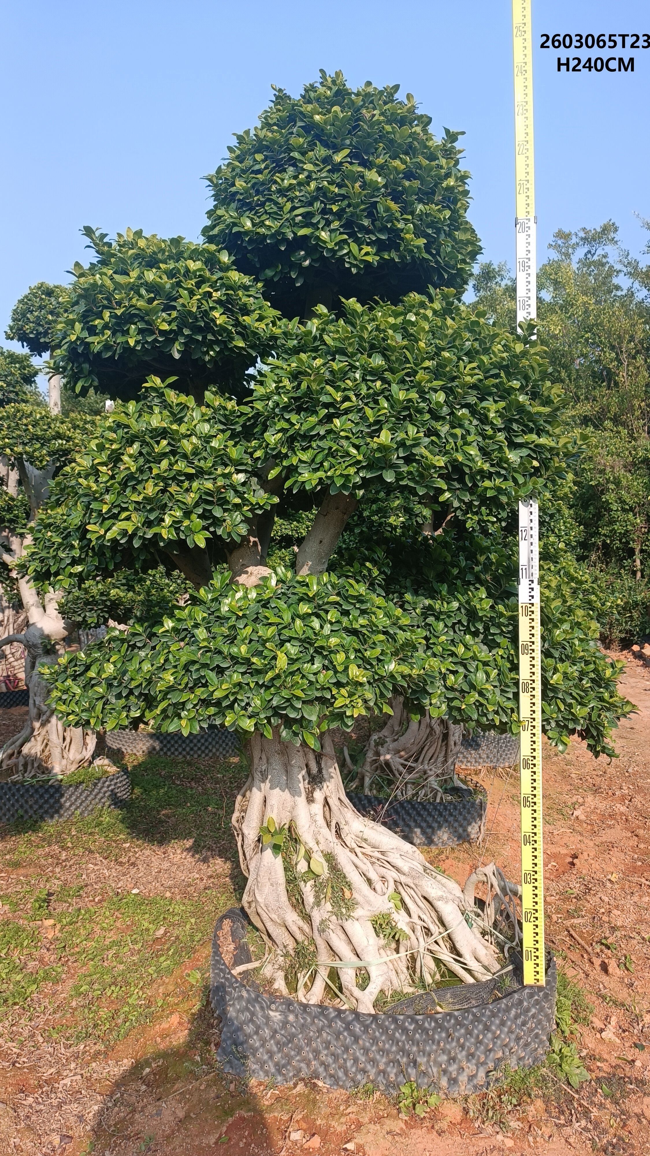 微信图片_20260326155217_233_38